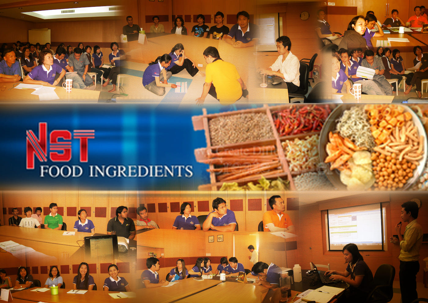 NST Food Ingredients Ltd.,CSR GROUP ที่ปรึกษางาน HR พัฒนาธุรกิจให้กับ
